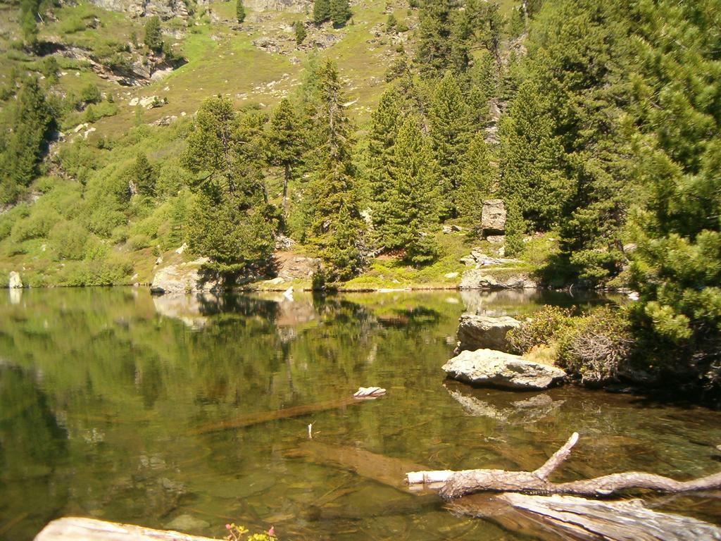 Privatpension Herta Sankt Georgen ob Murau Exterior foto